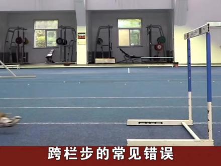 跨栏跑常见错误及专门性练习#运动 #跨栏 #体育生 #教育 #田径