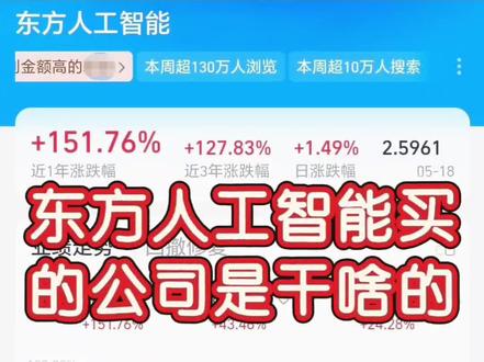 东方人工智能买的公司都是干啥的❓ #基金 #金融知识分享传播正能量 #人工智能