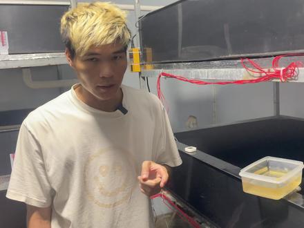 你的乌龟是不是经常趴着没精神也不吃东西 #变异巴西龟 #观赏龟 #养龟日常