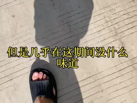 日常分享边牧小知识#边境牧羊犬 #边牧宝宝
