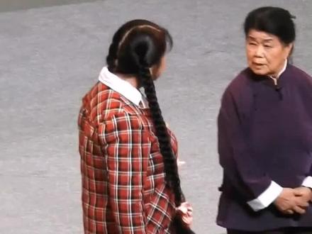 杨华瑞《朝阳沟》片段