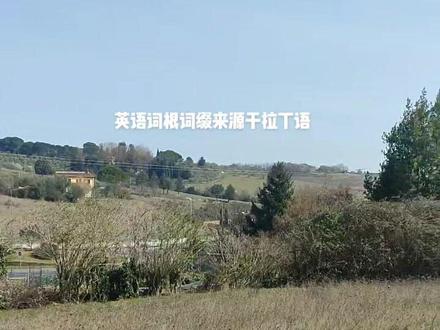 很多教英语词根词缀的老师都教错了。原因是只懂英语!比如con很多人说来源于come.实际意大利语中就是一个单词,共同的意思,相当于with。