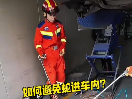这个季节,一定要避免蛇进车内#每天一个用车知识
