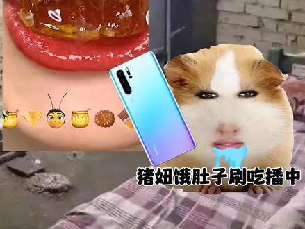 猪妞直播之旅第一天#猪妞 #猪妞小剧场 #二次元