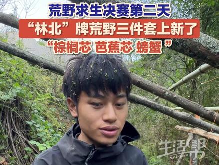 11月25日,七星山荒野求生决赛圈,“林北”牌荒野三件套变成了棕榈芯 、芭蕉芯 、螃蟹。