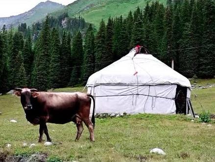 剪映电脑版入门教程~(4)配音#剪映视频教程 #剪映