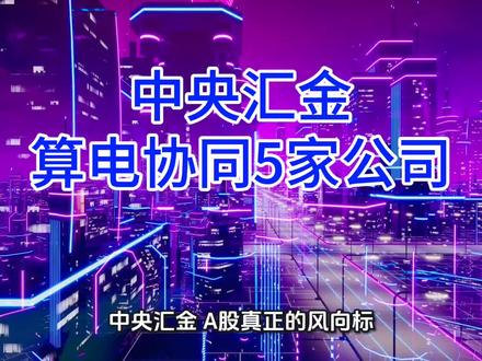 中央汇金,A股真正的方向标!今天一起来挖一挖算电协同隐形冠军。#中央汇金#算电协同#中国能建