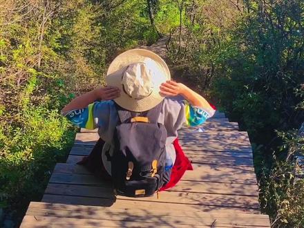 全程用时四到五小时,路线很单纯,只有一个环传。初到观景台路段,有点惊到——我以为爬山靠的是体力,在这儿才知道考的是勇气,太高太险,恐高症都犯了,甚至有点劝退。幸好这种路不太长就过了。然后就是无休止的攀爬,到北天门洞的时候,人们腿都瘸了。过了天门就是一段山顶的路,然后就开始下行,终于觉得有盼头了,又有了一段上行翻了个岭,心里真有点难以接受,终于七上八下的着地了。来玩的都是成群结队,我深深感受到不只是爬了个山,还吃了一堆狗粮,齁嗓子。想来的,早点动身,下午山上光线就很少,上午更漂亮些,当然下礼拜更加的层林渐染,美不胜收。#旅行推荐官 #治愈系 #登上山顶看美景 #户外徒步登山 #大自然的鬼斧神工