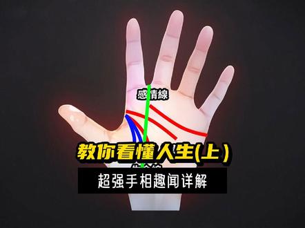 教你看懂人生(上),你好!能看看你的手吗?#人生哲理 #命理 #每日运势 #福运财运 #命理八字