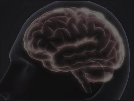 每天做这三件事,快速重塑你的大脑!