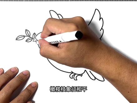 国际和平日简笔画:美丽的和平鸽,画在手抄报上真好看 #简笔画 #手抄报 #和平日