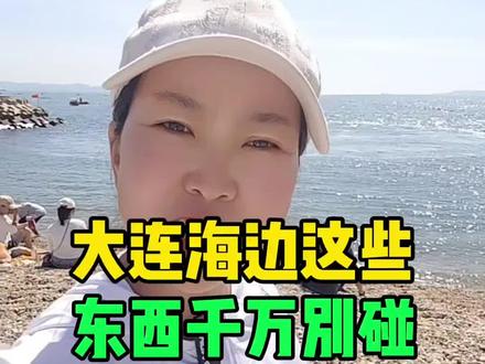 大连海边这些东西千万千万别碰#大连#大连同城#同城热门#海边