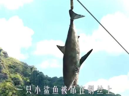 一头远古苍龙被人类圈养,拿鲨鱼给它喂食,#都不够塞牙缝