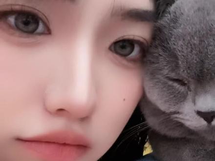 它真是个小甜甜#我的猫猫 #Fyp
