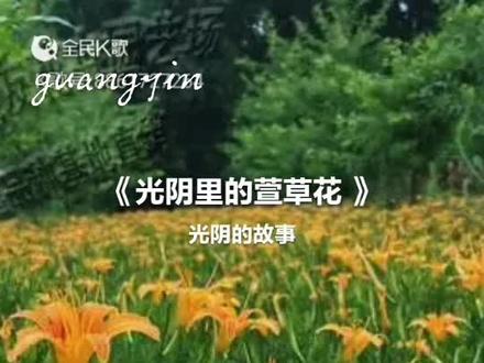 用声音演绎《萱草花》文字作者:奕轩