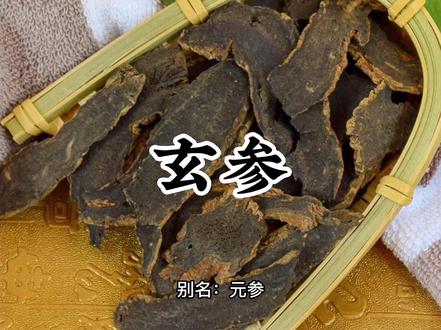 本草“玄参”#中药#中药材 #涨知识 #传承文化
