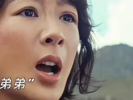 给生命树差评的原因竟然是 #生命树#白菊#杨紫