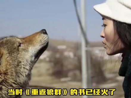 人和动物和谐相处的前提是不干扰对方的生存啊!!只要狼群都过好,那“格林”就会很好!#重返狼群 #格林 #李微漪 #草原 #安全