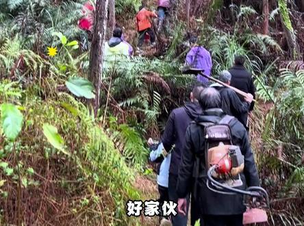华南F3清明祭祖名场面 #清明 #祭祖 #搞笑 #名场面
