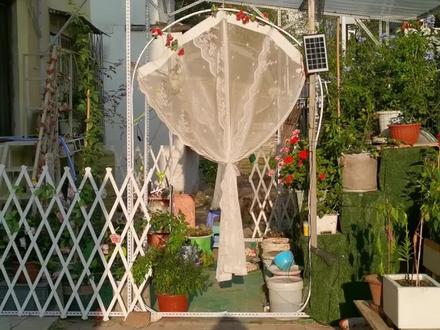 角铁无所不能,女生也能搭建阳光棚#阳光棚搭建 #花园改造 #手工制作 #阳光房 #阳台设计