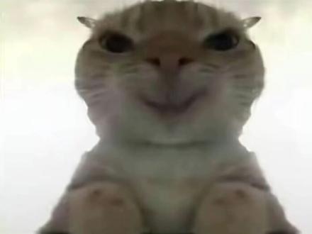 三角洲官方为什么把水坝下架了啊? #三角洲行动 #三角洲 #三角洲护航 #三角洲跑刀 #鼠鼠我呀