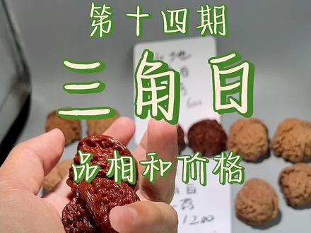 把你们手里的三角白照片和价格发到评论区,看看是不是买贵了 #文玩 #核桃 #价格实惠质量好