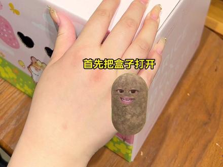 当你接到了一只鼠!如何快速上手! #仓鼠 #金丝熊
