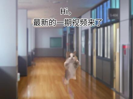 【猫meme】扔纸团