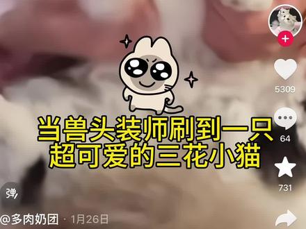 当兽头装师刷到三花猫后突然想做个三花兽头#兽头 #k系兽头 #三花猫 #制作过程 #手工