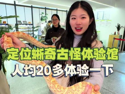 一次新奇体验 20多零距离接触爬萌 边遛娃边涨知识#遛娃好去处 #爬宠 #约会 #假期 #亲子互动