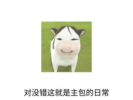 红米k70真滴c#红米k70 #澎湃系统 #这是一个悲伤的故事