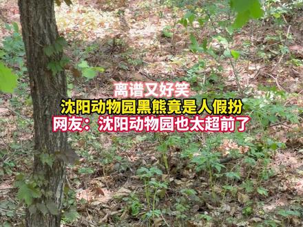 离谱又好笑!
#沈阳动物园 黑熊竟是人假扮,
网友直呼:沈阳动物园也太超前了!#凭实力刷到的视频 #哈哈