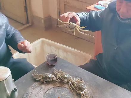 来自沙漠腹地的烤螃蟹#大闸蟹养殖 #甘肃民勤 #我的农村生活