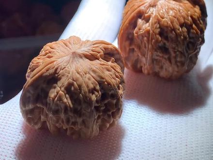 你就这么喜欢打药磨盘吗?看来打药还是符合大多数人审美啊!原生态的东西越来越被遗忘了……#文玩核桃知识 #别管什么东西盘它 #磨盘