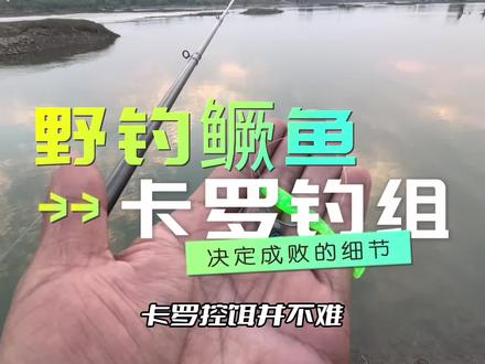 卡罗钓组控饵的时候,应该注意那些细节,才能提高中鱼率#路亚新手入门教程 #路亚鳜鱼 #控饵手法 #下班必须甩两杆 #野钓路亚