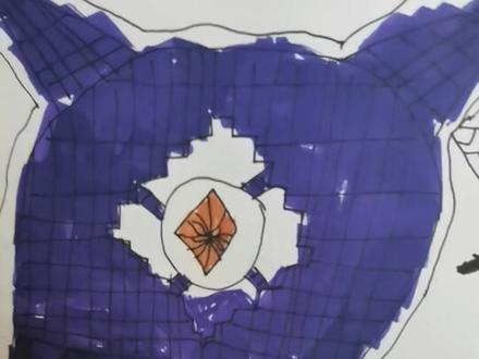 看我这超高的画画技术