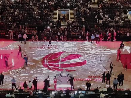 怎么还没开场就怯场了?#猛龙 #NBA #猛龙主场 #篮球