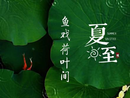 剪映新功能涂鸦笔制作鱼戏荷叶间的溶图效果,简单好看 #剪辑教程 #剪映