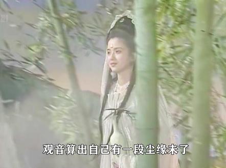 观音感知尘缘未了,但却参不破其中缘由,只好亲自下凡寻找答案
