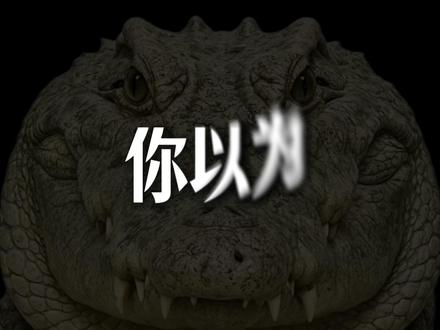 地球online最强T0角色:鲨鱼,服役四亿年,从未被削弱。 #科普 #神奇动物在抖音 #地球online #鲨鱼 #知识前沿派对