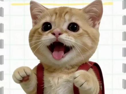 小喵带你了解银行一类二类卡#一类卡和二类的区别 #银行 #猫meme #青年大学习