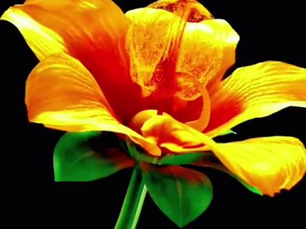 #解压 (所见未知)#女生必看 #给瓦火