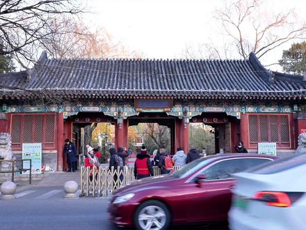 打破学科边界,零基础编程,让创意一键成型
#豆包ai #豆包编程