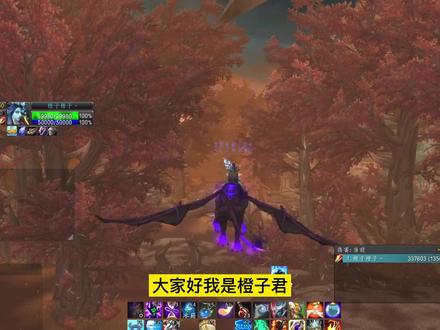 魔兽WLK将至,打本升级或带本升级的副本,到底如何选择? #网络游戏 #魔兽世界怀旧服 #游戏搬砖