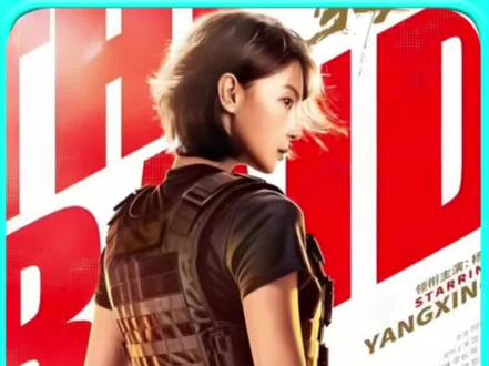 电影《突袭》 缉毒警察在卧底队员的配合下,里应外合下彻底击败盯公贩毒组织
#犯罪悬疑 #抖音二创激励计划 #因为一个片段看了整部剧 #好剧推荐 #精彩片段分享
@抖音小助手