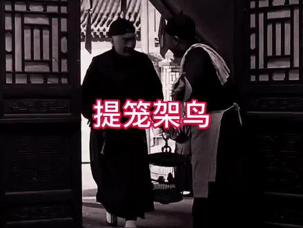 提笼架鸟—鸟笼子·京笼#鸟笼鸟具 #鸟笼 #传承文化 #传统文化 #热门 #文玩发烧友 @DOU+上热门 @DOU+小助手 @抖音小助手