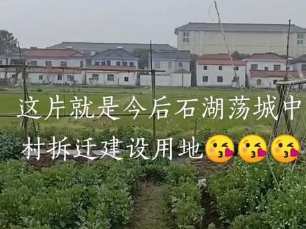 这片就是石湖荡城中村拆迁建设用地!