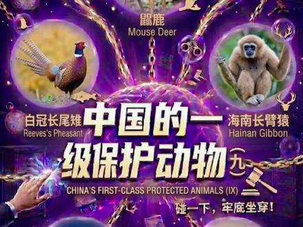 认识一下这些国家一级保护动物九,千万别碰。#动物科普 #动物百科