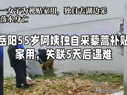 岳阳55岁阿姨独自采藜蒿补贴家用,失联5天后遇难