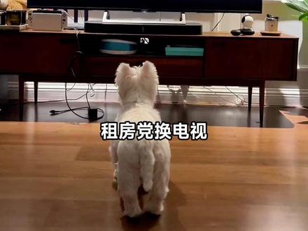 解救老电视!当贝新品电视盒子H5-64G版 给你带来畅快体验!#当贝盒子H5 #当贝盒子 #当贝H5 #新品